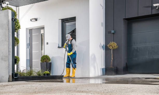 Best Building Exterior Washing  in Wolfe City, TX